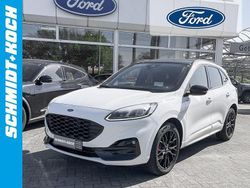 Frostweiß Gebraucht 2024 Ford Kuga ST-Line X SUV | 34.950 € (Etwas zu teuer)