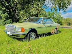 Grün Gebraucht 1979 Mercedes 230 Coupé | 6.990 €