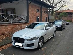 Weiß Gebraucht 2017 Jaguar XE R-Sport Limousine | 16.000 € (Fairer Preis)
