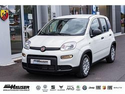 Weiss Gebraucht 2024 Fiat Panda Kleinwagen | 14.845 € (Fairer Preis)