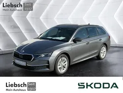 Grau Neu 2024 Skoda Octavia Selection Kombi | 39.990 € (Etwas zu teuer)