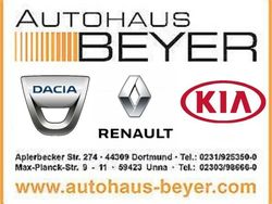 Grau Gebraucht 2019 Renault Zoe Life Kleinwagen | 14.990 €