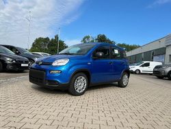 Blau Gebraucht 2024 Fiat Panda Kleinwagen | 15.989 € (Teuer)