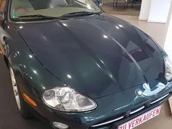 Britisch racing green Gebraucht 2001 Jaguar XK8 Cabrio | 19.000 € (Etwas zu teuer)
