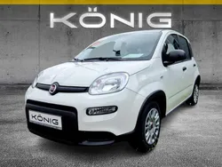Gelato weiss Neu 2024 Fiat Panda Kleinwagen | 13.767 € (Guter Preis)