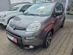 Grau Gebraucht 2021 Fiat Panda Sport Kleinwagen | 11.790 € (Fairer Preis)