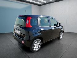 Schwarz Neu 2025 Fiat Panda Kleinwagen | 14.999 € (Fairer Preis)
