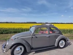 Grau Gebraucht 1963 VW Käfer Kleinwagen | 24.900 €