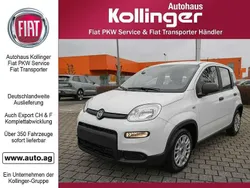 Weiß Gebraucht 2024 Fiat Panda Kleinwagen | 13.844 € (Fairer Preis)
