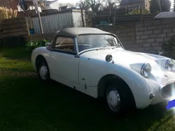 Weiß Gebraucht 1960 Austin Healey Sprite Cabrio | 16.500 €