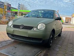 Grün Gebraucht 2001 VW Lupo Kleinwagen | 1.400 € (Fairer Preis)