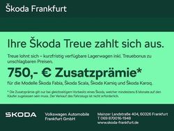Grau Neu 2025 Skoda Karoq Tour SUV | 31.980 € (Superpreis)