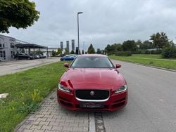 Rot Gebraucht 2016 Jaguar XE Pure Limousine | 12.599 € (Fairer Preis)