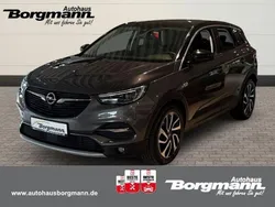 Grau Gebraucht 2019 Opel Grandland X SUV | 21.590 € (Etwas zu teuer)