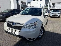Weiß Gebraucht 2014 Subaru Forester Exclusive+ SUV | 5.999 € (Teuer)