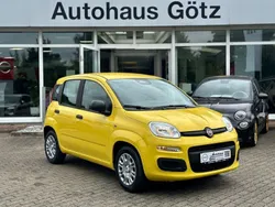 Gelb Neu 2025 Fiat Panda Cross Cross Kleinwagen | 15.990 €