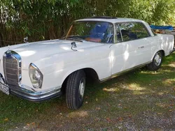 Weiß Gebraucht 1966 Mercedes 250 Coupé | 60.000 €