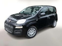 Cinema schwarz Neu 2025 Fiat Grande Panda Kleinwagen | 15.050 € (Fairer Preis)