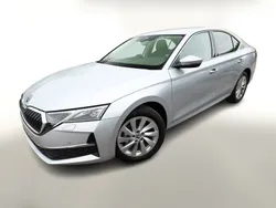 Weiss Neu 2025 Skoda Octavia Limousine | 29.988 € (Guter Preis)