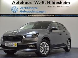 Grau Neu 2025 Skoda Fabia Selection Kleinwagen | 22.929 € (Etwas zu teuer)
