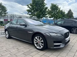 Grau Gebraucht 2016 Jaguar XF R-Sport Limousine | 14.900 € (Fairer Preis)