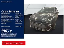 Schwarz Gebraucht 2024 Cupra Terramar VZ SUV | 45.990 € (Superpreis)