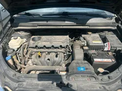 Schwarz Gebraucht 2008 Kia Carens Van / Kleinbus | 1.300 € (Superpreis)