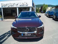 Mulberry red Gebraucht 2025 Volvo XC60 Core SUV | 54.890 € (Etwas zu teuer)