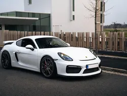 Weiß Gebraucht 2016 Porsche Cayman GT4 Coupé | 91.900 € (Fairer Preis)