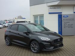 Othercolor Gebraucht 2021 Ford Fiesta ST-Line Kleinwagen | 18.970 € (Teuer)