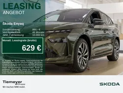 Grün Neu 2025 Skoda Enyaq iV SportLine SUV | 59.980 € (Teuer)
