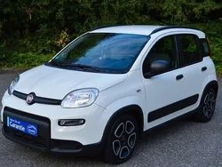 Weiß Gebraucht 2021 Fiat Panda City Life Kleinwagen | 10.499 € (Guter Preis)