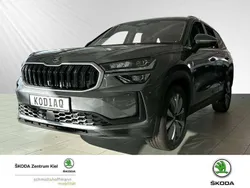 Grau Gebraucht 2024 Skoda Kodiaq Selection SUV | 45.980 € (Teuer)