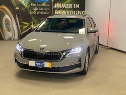 Grau Neu 2025 Skoda Octavia Selection Kombi | 32.950 € (Fairer Preis)