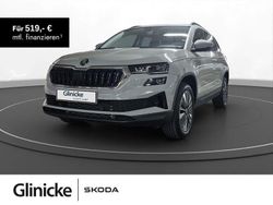 Steelgrau Neu 2025 Skoda Karoq Selection SUV | 39.526 € (Teuer)