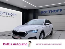 Weiss Gebraucht 2023 Skoda Octavia Style Kombi | 25.997 € (Guter Preis)