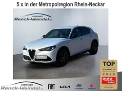 Grau Gebraucht 2023 Alfa Romeo Stelvio Competizione SUV | 46.989 € (Teuer)