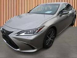 Grau Neu 2025 Lexus ES300H Limited Edition Limousine | 39.980 € (Fairer Preis)