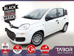 Gelato weiß Neu 2025 Fiat Panda Kleinwagen | 13.644 € (Guter Preis)