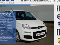 Weiß Neu 2025 Fiat Panda Pop Kleinwagen | 14.990 € (Fairer Preis)