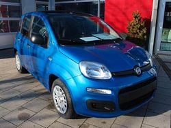 Blau Neu 2025 Fiat Panda Limousine | 14.880 € (Fairer Preis)