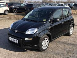 Schwarz Gebraucht 2024 Fiat Panda Kleinwagen | 15.389 € (Etwas zu teuer)