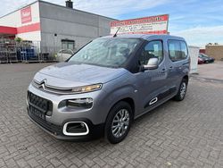 Grau Gebraucht 2019 Citroën Berlingo Live Van / Kleinbus | 7.999 €