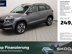 Grau Neu 2025 Skoda Karoq Selection SUV | 41.480 €