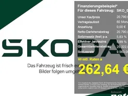 Weiß Gebraucht 2024 Skoda Fabia Selection Limousine | 20.790 € (Teuer)