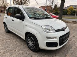 Weiß Gebraucht 2015 Fiat Panda Lounge Kleinwagen | 6.000 € (Guter Preis)