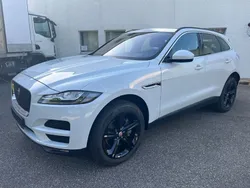 Weiß Gebraucht 2019 Jaguar F-Pace Prestige SUV | 31.990 € (Superpreis)