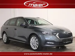 Grau Gebraucht 2021 Skoda Octavia Ambition Kombi | 17.900 € (Superpreis)