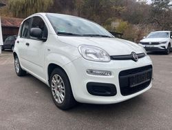 Weiß Gebraucht 2021 Fiat Panda Kleinwagen | 7.880 € (Superpreis)