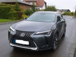 Grau Gebraucht 2023 Lexus UX 250h SUV | 31.700 €